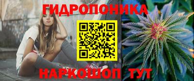 прущие грибы Севастополь