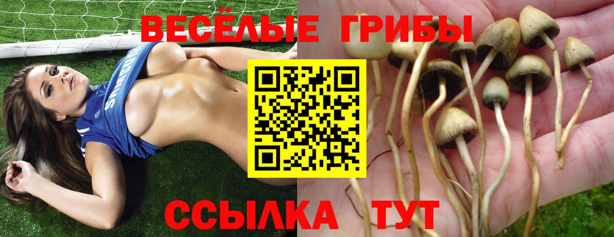 Галлюциногенные грибы мицелий  Вход с VPN  Реутов 